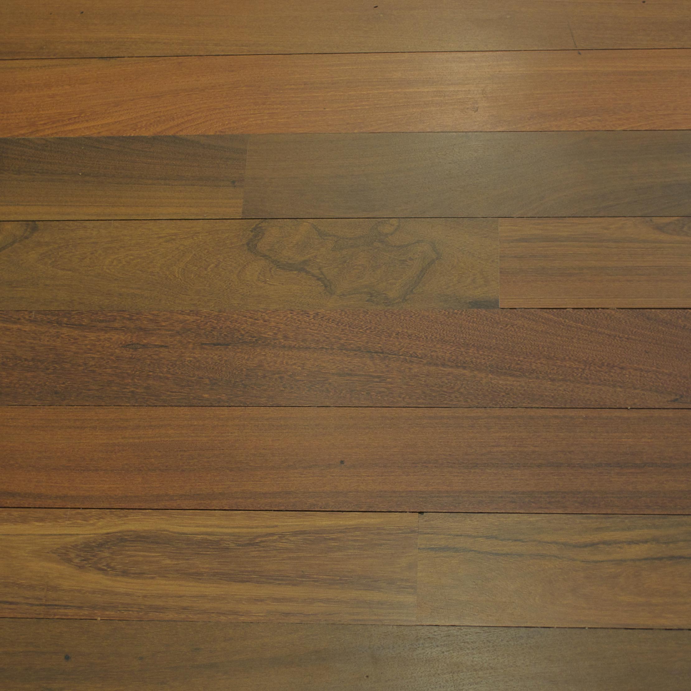 Jatoba exotic species sample