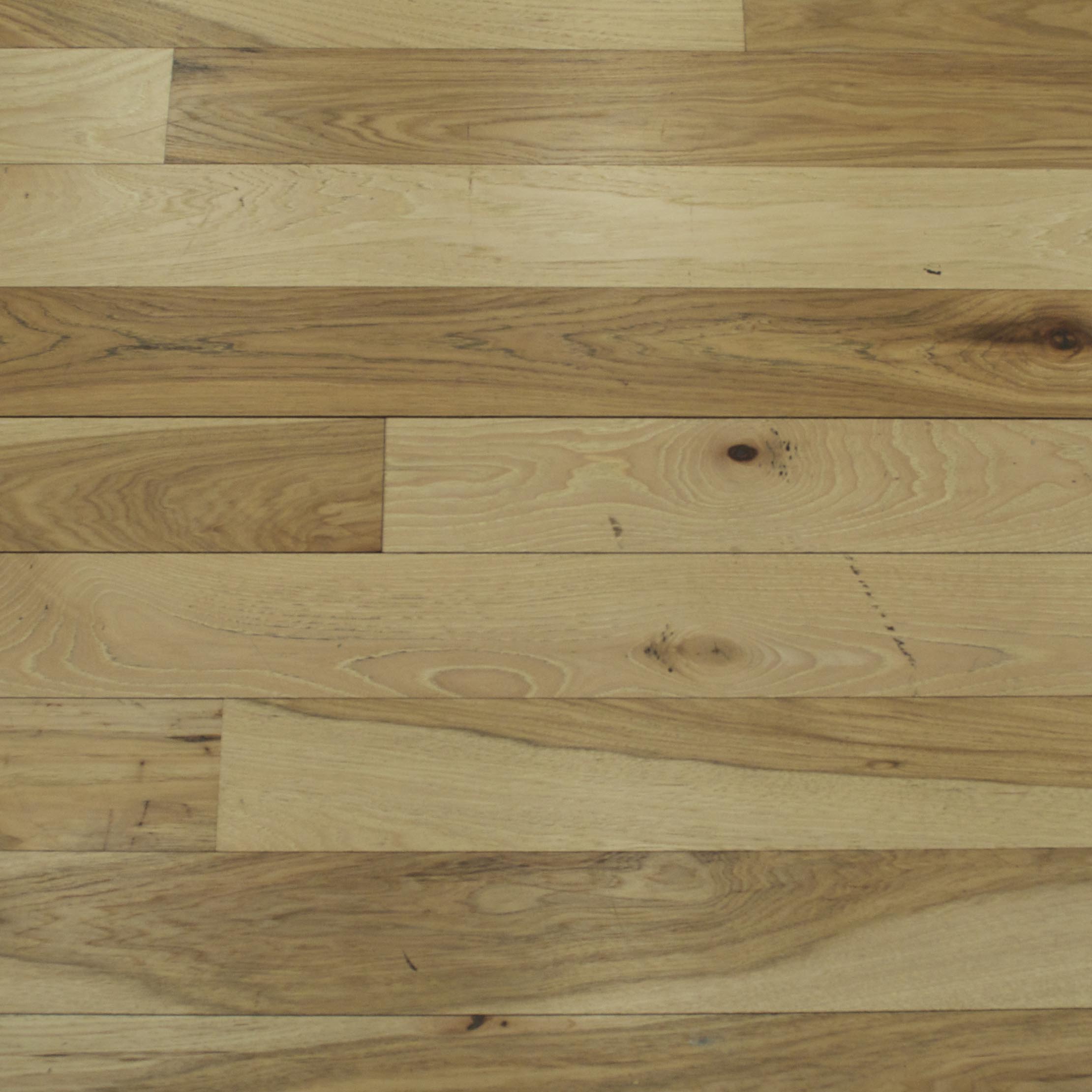 Red oak sample